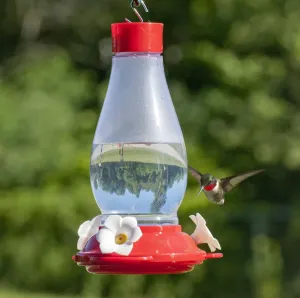 30 oz. Plastic Hurricane Hummingbird Feeder with Ant-Moat