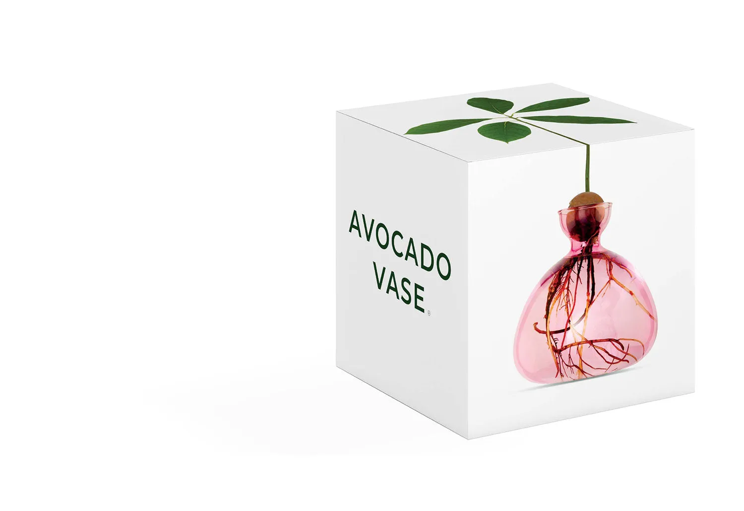 Avocado Vase