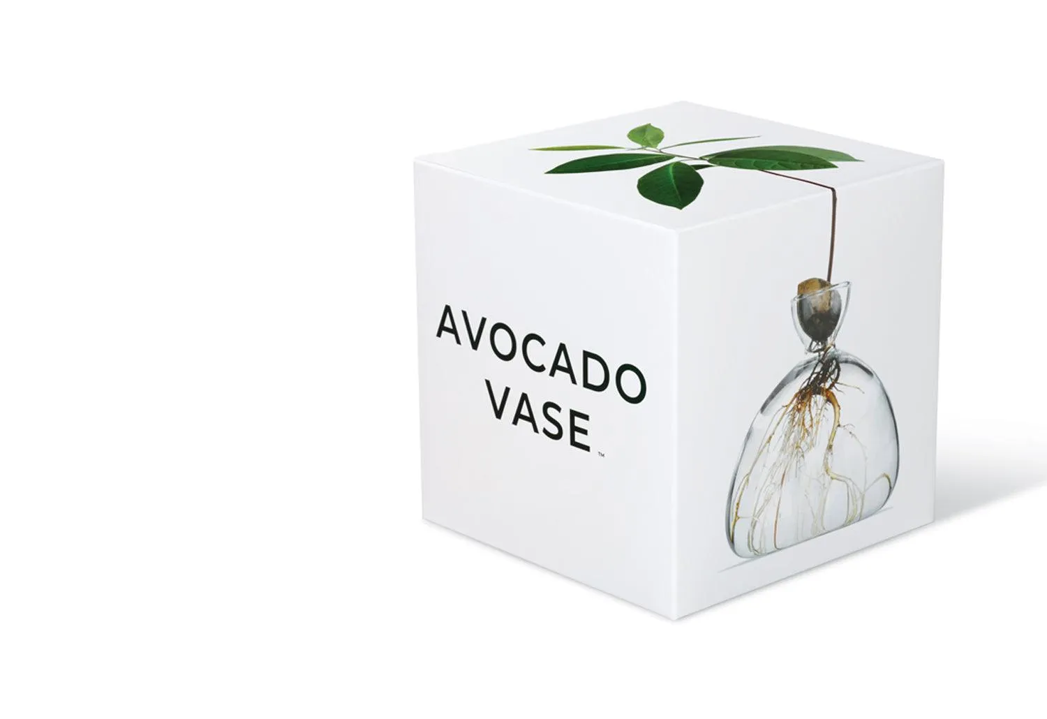 Avocado Vase